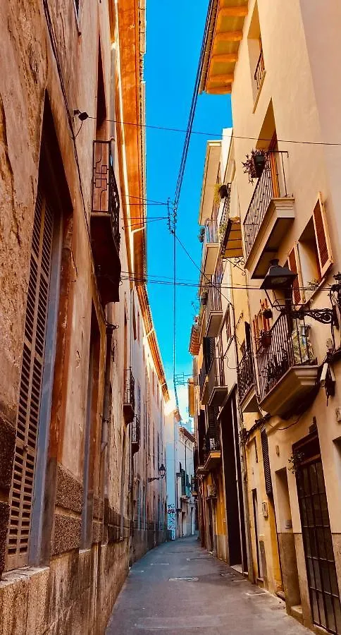 Apartment Shut Down Place Palma de Mallorca Spain